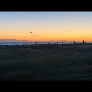 Meet your Posher, Damaris